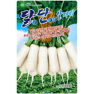 주주씨앗님의 작성글 사진