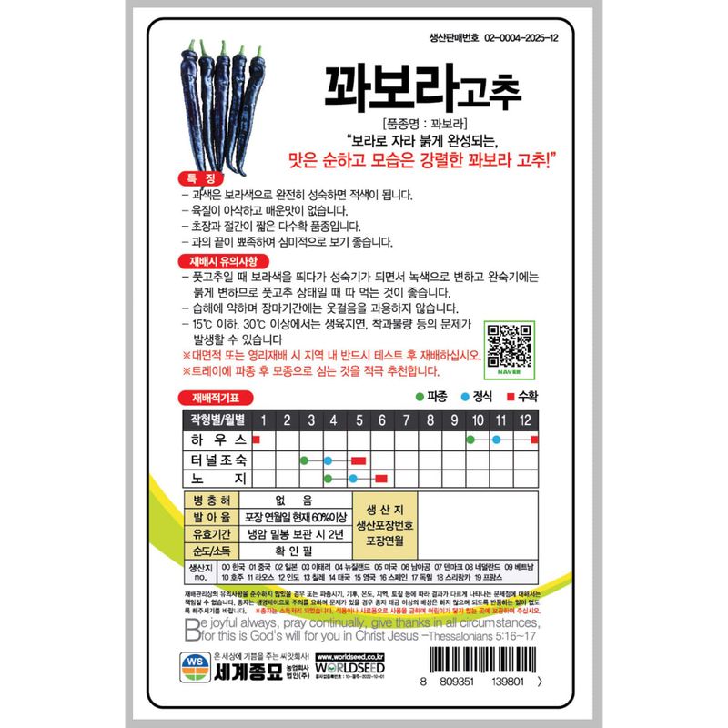 주주씨앗님의 장터 판매 상품 [보라색 고추 씨앗 20립, 순한 꽈보라 이색고추 종자 봄 파종] 첨부 사진