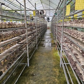 곽희동님의 작성글 사진