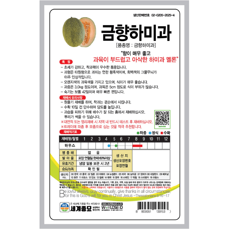 주주씨앗님의 장터 판매 상품 [멜론 씨앗 10립, 부드럽고 아삭한 금향하미과 봄 파종 채소 과일씨앗] 첨부 사진