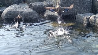 연향님의 자유주제 · 자유게시판 작성글 사진