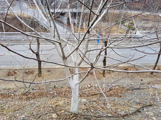 김용대님의 자유주제 · 자유게시판 작성글 사진