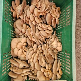 곽희동님의 작성글 사진