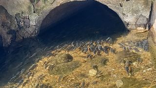 연향님의 자유주제·자유게시판 작성글 사진