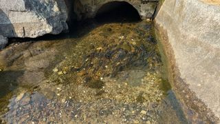 연향님의 자유주제 · 자유게시판 작성글 사진