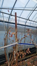 팜모닝 자유주제·자유게시판 게시글 이미지