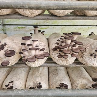 곽희동님의 작성글 사진