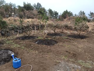 개인교수님의 자유주제 · 자유게시판 작성글 사진