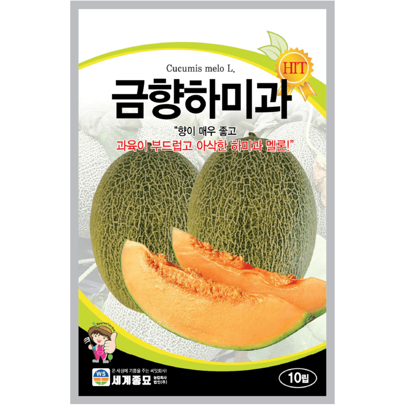 장터 상품 [멜론 씨앗 10립, 부드럽고 아삭한 금향하미과 봄 파종 채소 과일씨앗] 썸네일