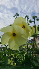 팜모닝 자유주제·자유게시판 게시글 이미지