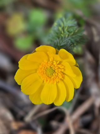 안길원님의 자유주제 · 자유게시판 작성글 사진