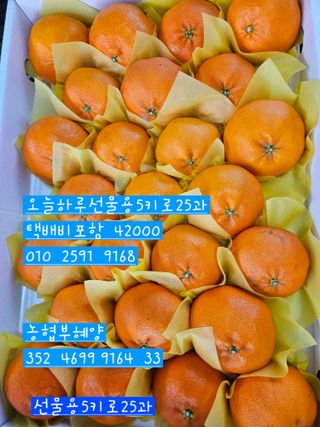 제주 지안이네농장님의 자유주제 · 자유게시판 작성글 사진