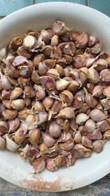 팜모닝 자유주제·자유게시판 게시글 이미지