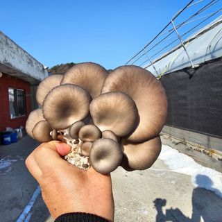 곽희동님의 작성글 사진