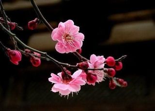 안길원님의 자유주제 · 자유게시판 작성글 사진