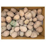 팜모닝 자유주제·자유게시판 게시글 이미지