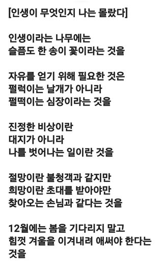 (팽나무*공주)님의 자유주제 · 자유게시판 작성글 사진