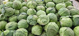 김화석님의 작성글 사진