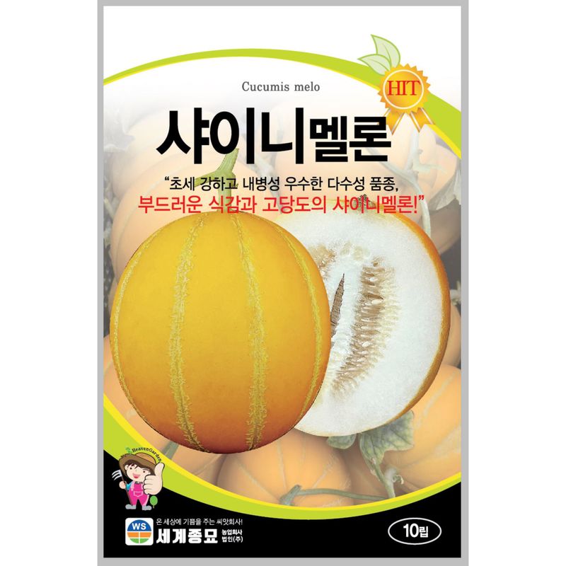 장터 상품 [노란멜론 씨앗 10립 참외닮은 내병성, 고당도 이색멜론 종자] 썸네일