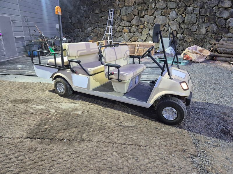 일개미(4454)님의 장터 판매 상품 [골프카트] 첨부 사진