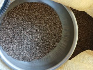 박수연님의 작성글 사진