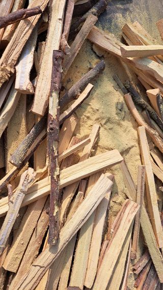 정병묵님의 자유주제 · 자유게시판 작성글 사진