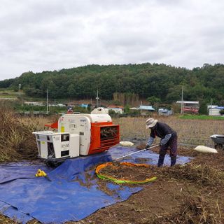 박수연님의 작성글 사진