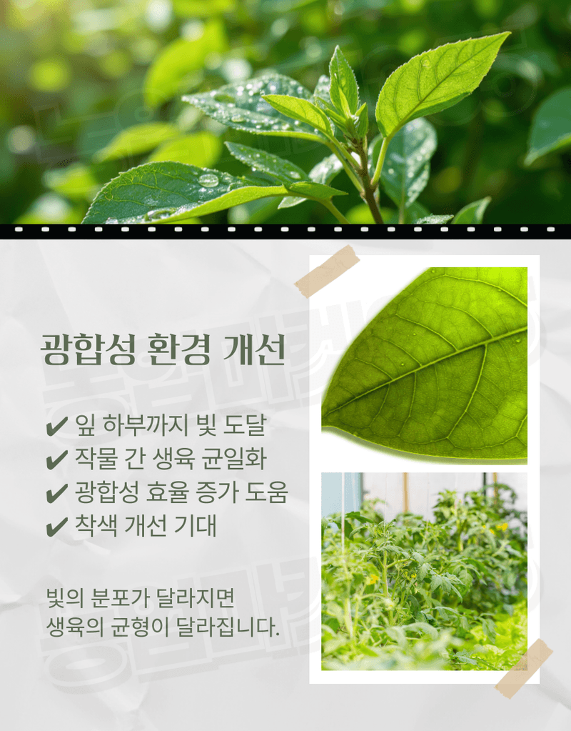 농업마켓365님의 장터 판매 상품 [국산 농업용 하우스반사필름 비닐하우스 온도상승 일조량 증대] 첨부 사진