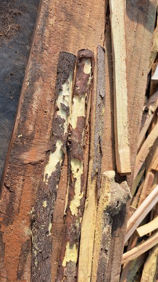 정병묵님의 자유주제 · 자유게시판 작성글 사진