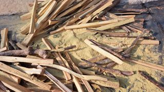 정병묵님의 자유주제 · 자유게시판 작성글 사진