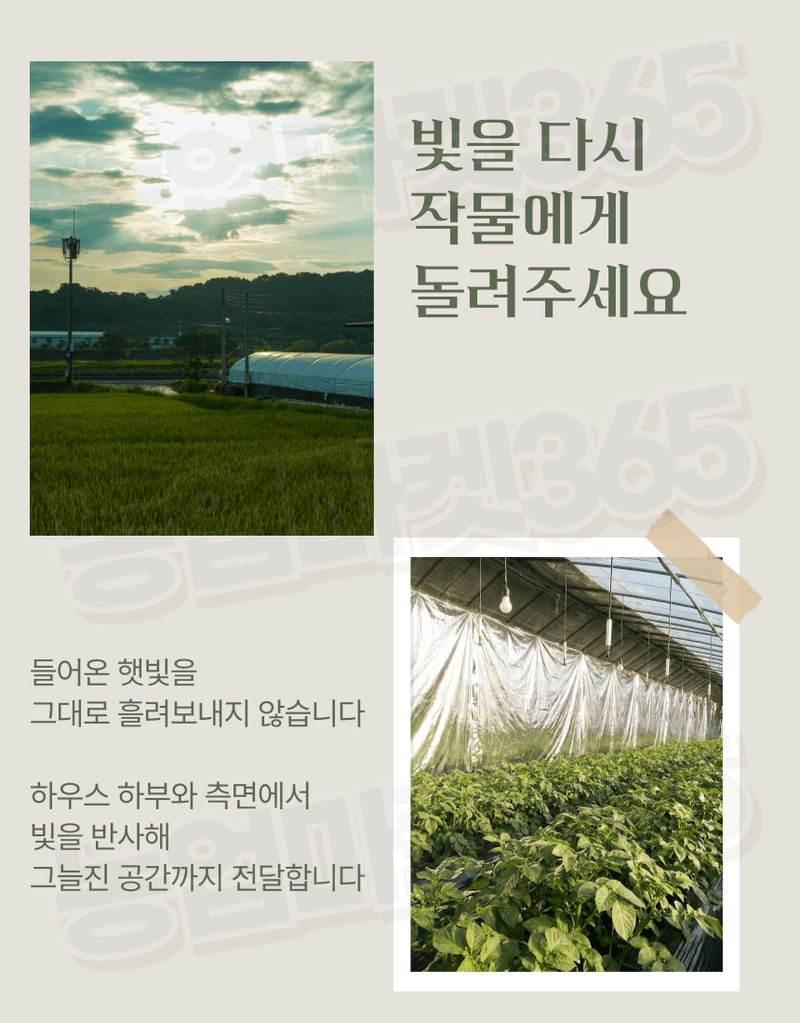 농업마켓365님의 장터 판매 상품 [국산 농업용 하우스반사필름 비닐하우스 온도상승 일조량 증대] 첨부 사진