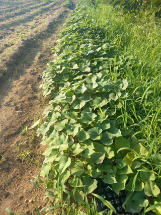 블루베리16598님의 자유주제 · 자유게시판 작성글 사진