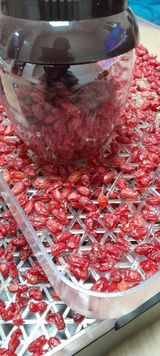 팜모닝 자유주제·자유게시판 게시글 이미지