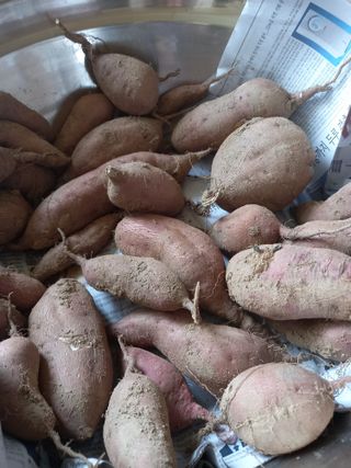 블루베리16598님의 자유주제 · 자유게시판 작성글 사진