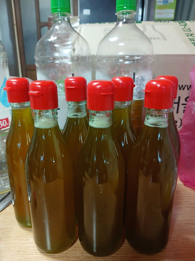 박수연님의 장터 판매 상품 [국산들기름] 첨부 사진