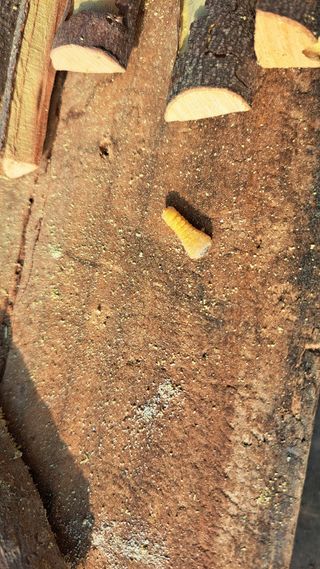 정병묵님의 자유주제 · 자유게시판 작성글 사진