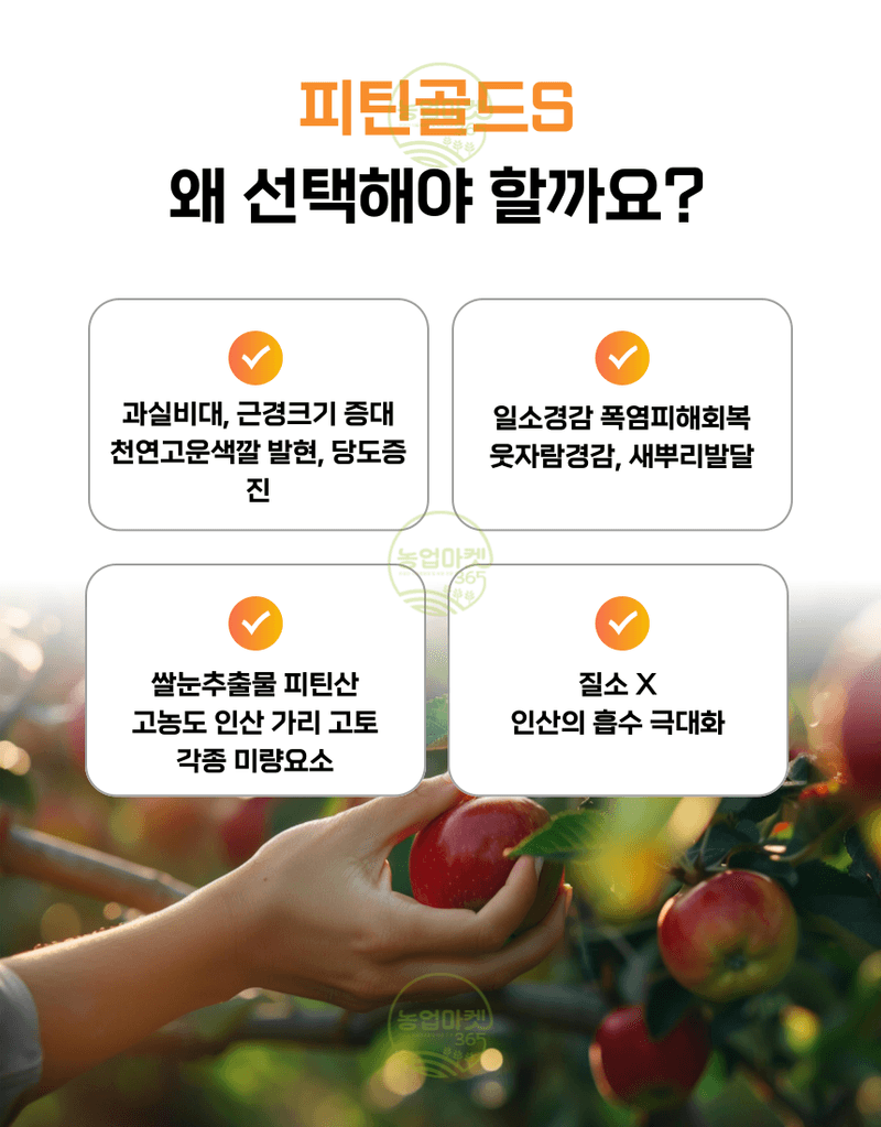 농업마켓365님의 장터 판매 상품 [융전 피틴골드S 액제 1L 피틴산 쌀눈추출물 비대제 당도제 착색제 식물영양제 비료] 첨부 사진