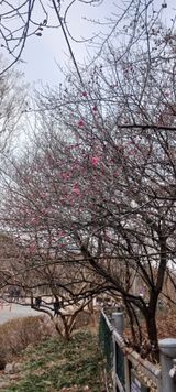 팜모닝 자유주제·자유게시판 게시글 이미지