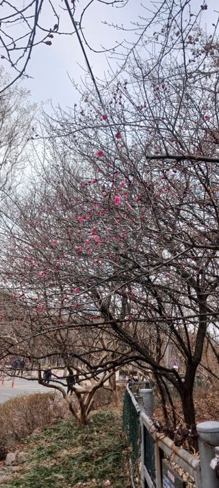 김 연님의 자유주제 · 자유게시판 작성글 사진