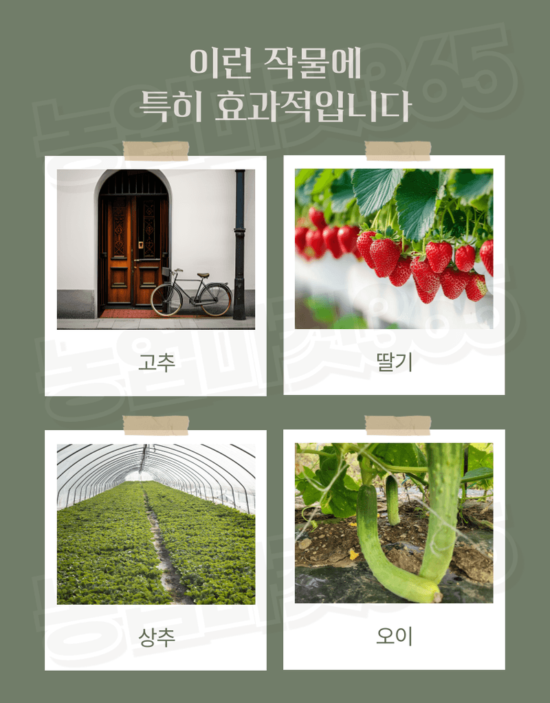 농업마켓365님의 장터 판매 상품 [국산 농업용 하우스반사필름 비닐하우스 온도상승 일조량 증대] 첨부 사진