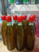 팜모닝 · 게시글 이미지