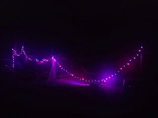 백용기님의 자유주제·자유게시판 작성글 사진