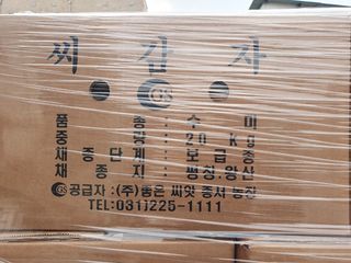 한농농약종묘사님의 감자 · 자유게시판 작성글 사진