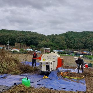 박수연님의 작성글 사진