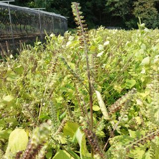 박수연님의 작성글 사진