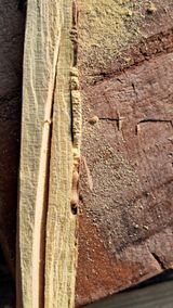 팜모닝 자유주제·자유게시판 게시글 이미지