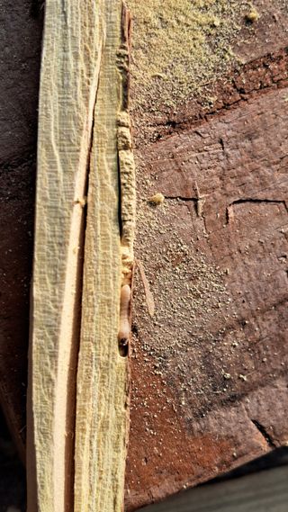 정병묵님의 자유주제 · 자유게시판 작성글 사진