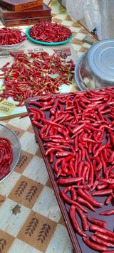 블루베리16598님의 자유주제·자유게시판 작성글 사진