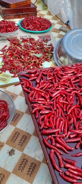 블루베리16598님의 자유주제 · 자유게시판 작성글 사진