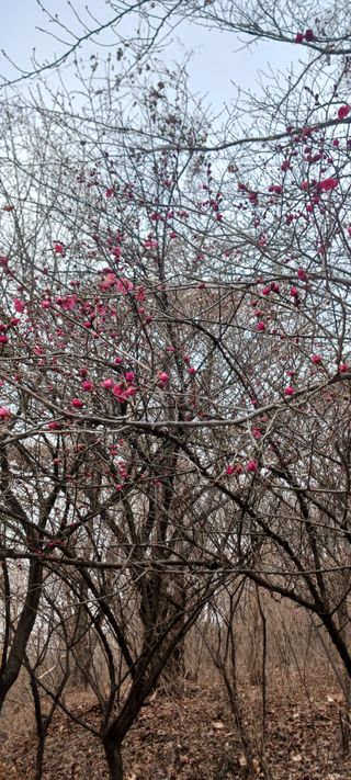 김 연님의 자유주제 · 자유게시판 작성글 사진